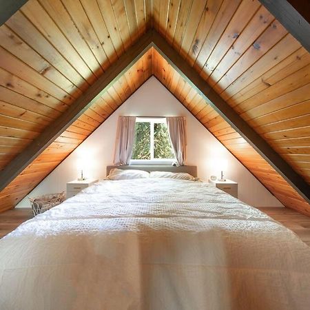 R & R Chalet At Mt. Rainier 阿什福德 外观 照片