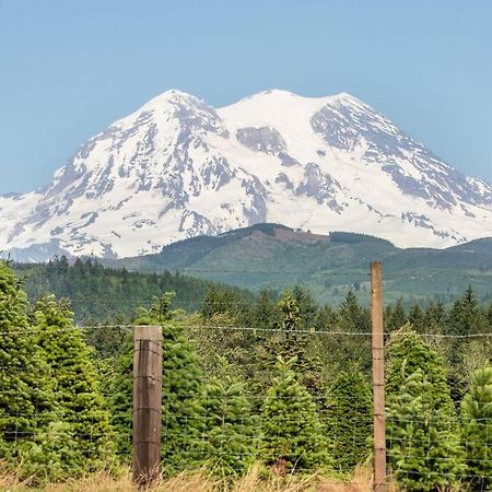 R & R Chalet At Mt. Rainier 阿什福德 外观 照片