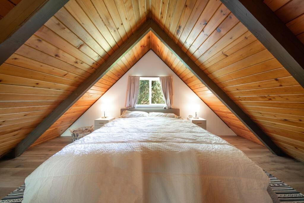R & R Chalet At Mt. Rainier 阿什福德 外观 照片
