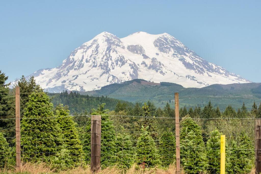 R & R Chalet At Mt. Rainier 阿什福德 外观 照片